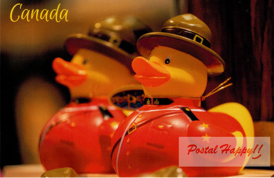 Mountie Duckies Postcard