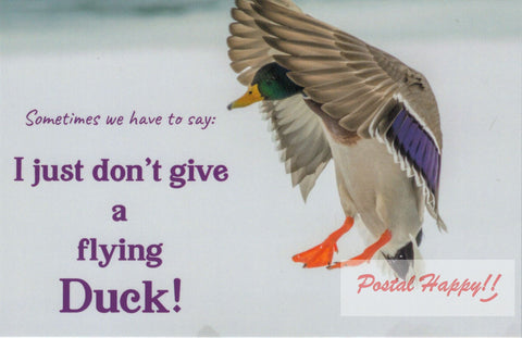 Flying Duck Postcard