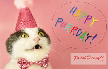 Happy Purrday Postcard