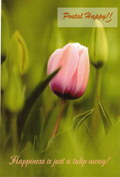 Happiness is... Postcard