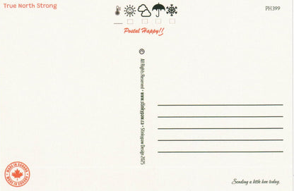 Love My Country Postcard