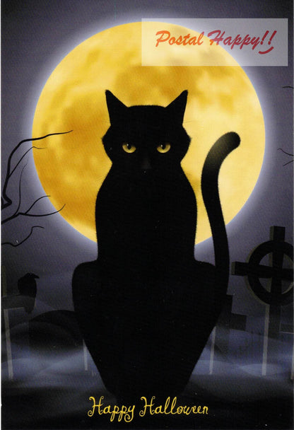 Black Cat Postcard