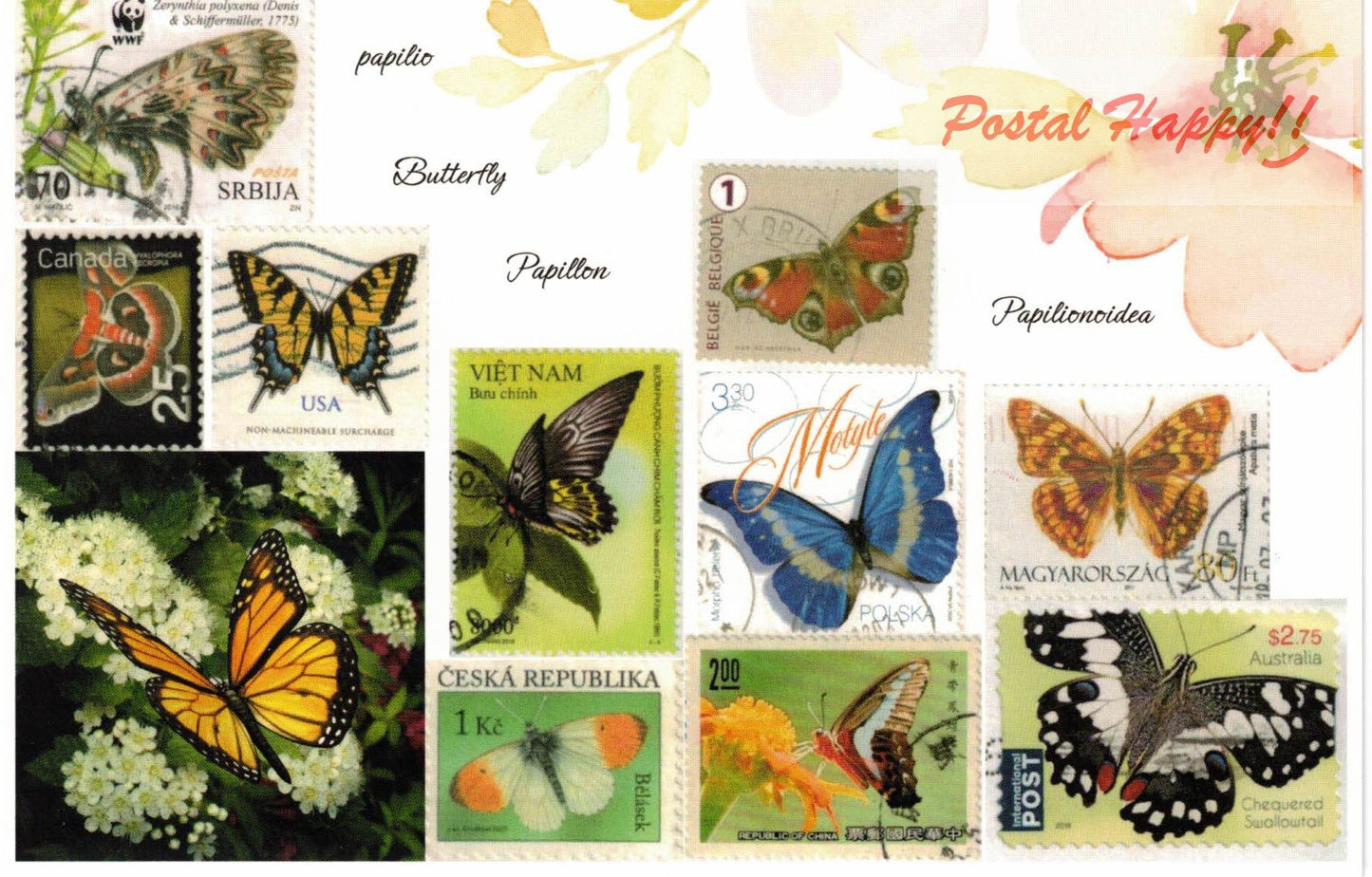 Butterfly Stamps Postcard