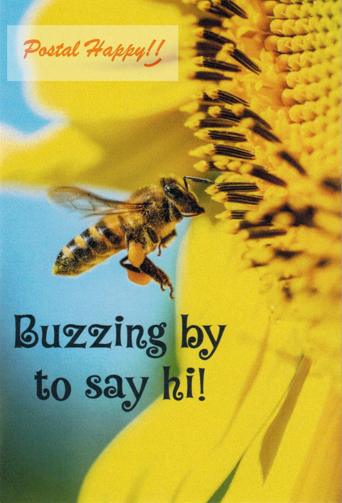 "Buzzing By to Say Hi!!" Postcard