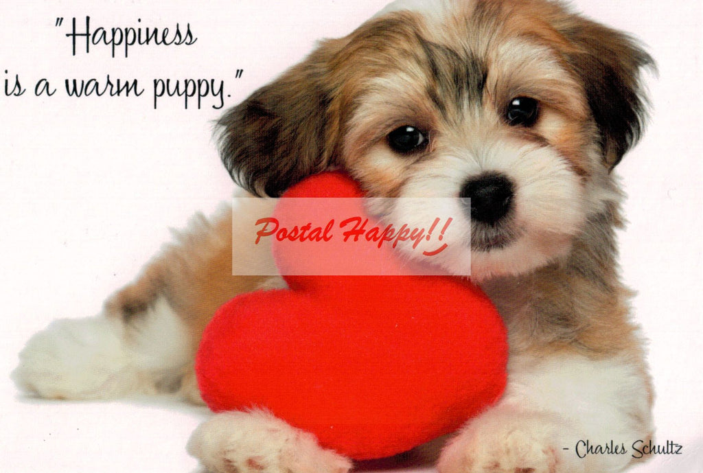 Warm Puppy Postcard