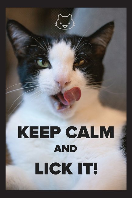 "Keep Calm and Lick It!" Postcard