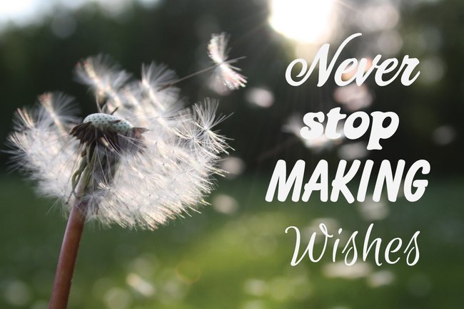 Never Stop Making Wishes Postcard