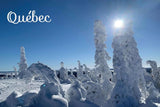 Snowy Scenery Postcard